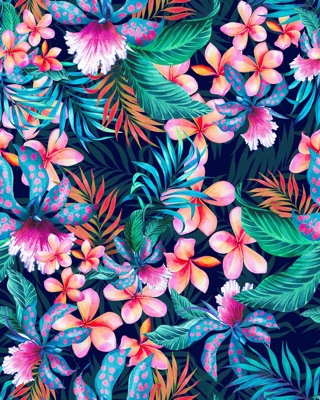 Estampado 14